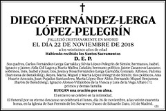 Diego Fernández-Lerga López-Pelegrín